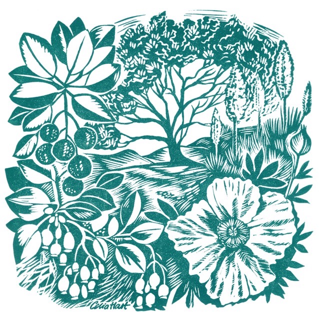'Californian Flora' linocut 19 x 19 cm