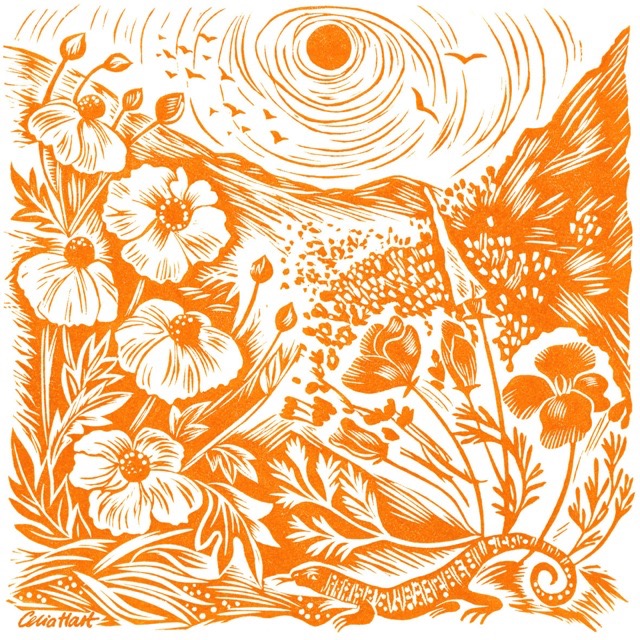 'The Poppy Canyon' linocut 19 x 19 cm