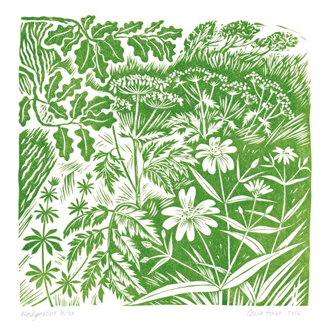 'Hedgerow' linocut 19 x 19 cm