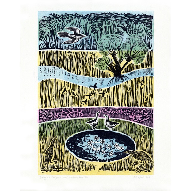 'Spring at Redgrave and Lopham Fen' woodcut 42 x  30 cm