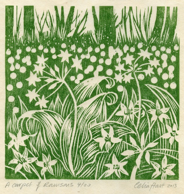 'A carpet of Ramsons' 15 x 15 cm
