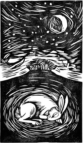 'Sleeping Hare' 18 x 31 cm