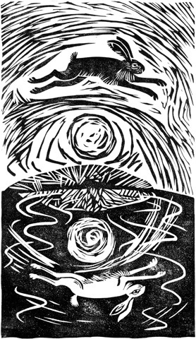 'Flying Hare' 18 x 31 cm