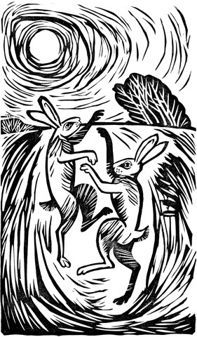 'Boxing Hares' 18 x 31 cm