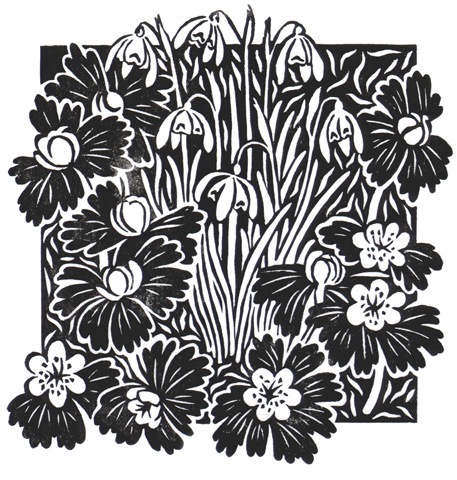 'Snowdrops and Winter Aconites' (black)